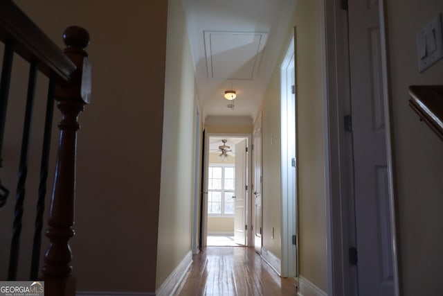 hallway featuring light hardwood / wood-style floors