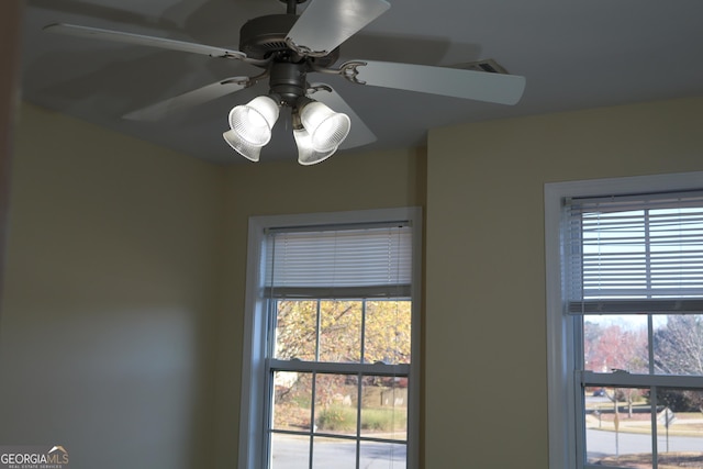 details featuring ceiling fan