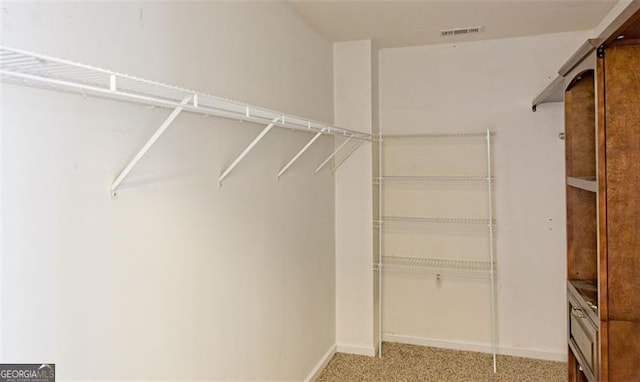 spacious closet with carpet flooring