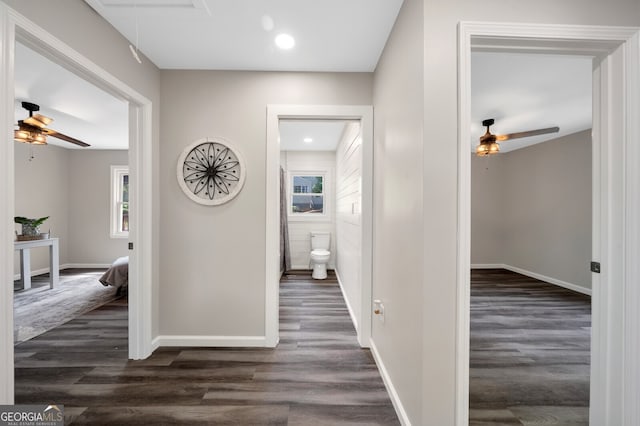 corridor with dark hardwood / wood-style floors and plenty of natural light