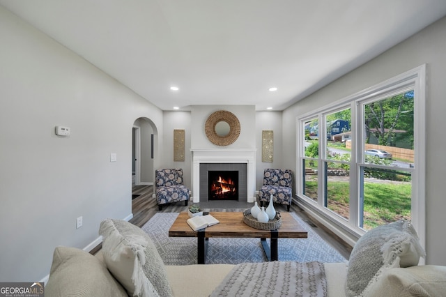 living room featuring a fireplace and wood-type flooring