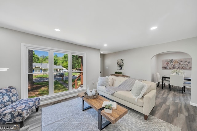 living room featuring hardwood / wood-style flooring