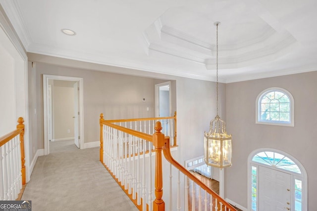 hallway with a raised ceiling, light carpet, and ornamental molding