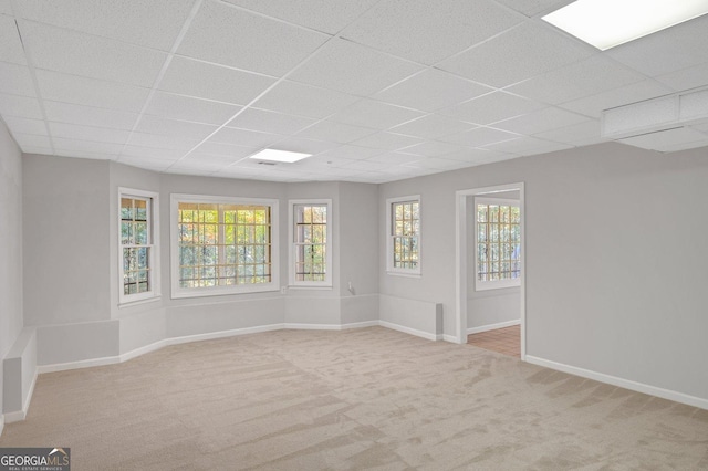 spare room with light colored carpet, a drop ceiling, and a healthy amount of sunlight