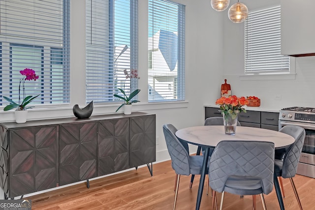 dining room with plenty of natural light and light wood-type flooring