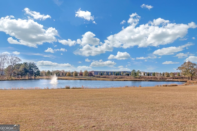 property view of water