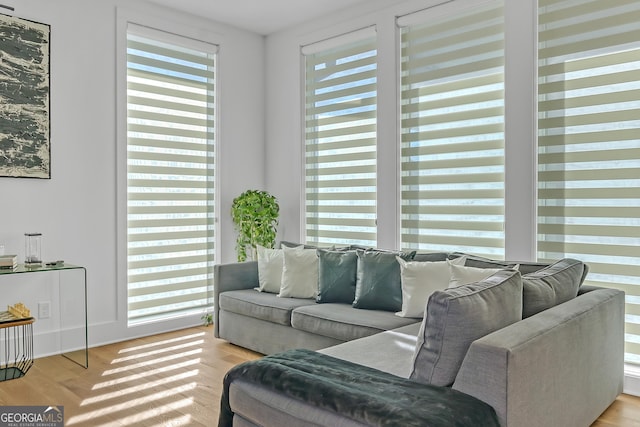 living room featuring plenty of natural light and light hardwood / wood-style flooring