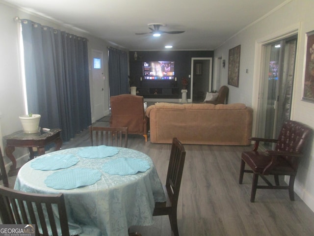 dining area featuring ceiling fan and wood-type flooring