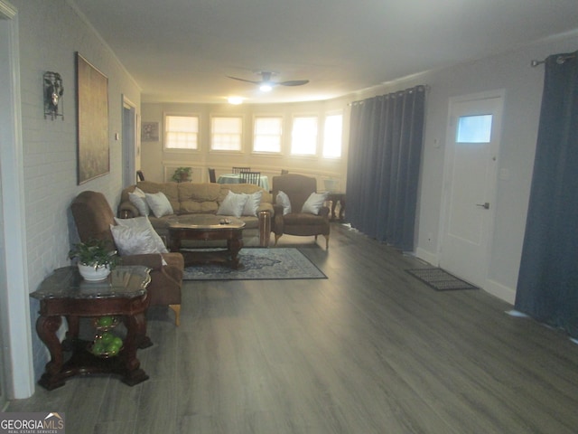 living room with radiator heating unit, dark hardwood / wood-style flooring, and ceiling fan