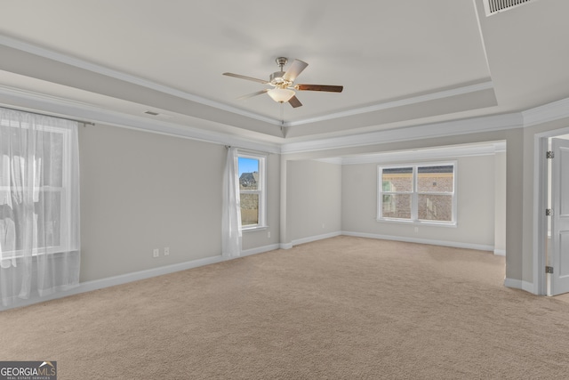 spare room featuring light carpet, a tray ceiling, and a wealth of natural light