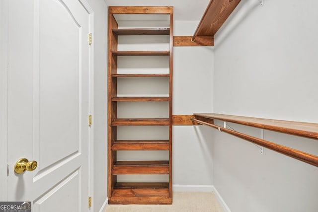 spacious closet featuring light carpet