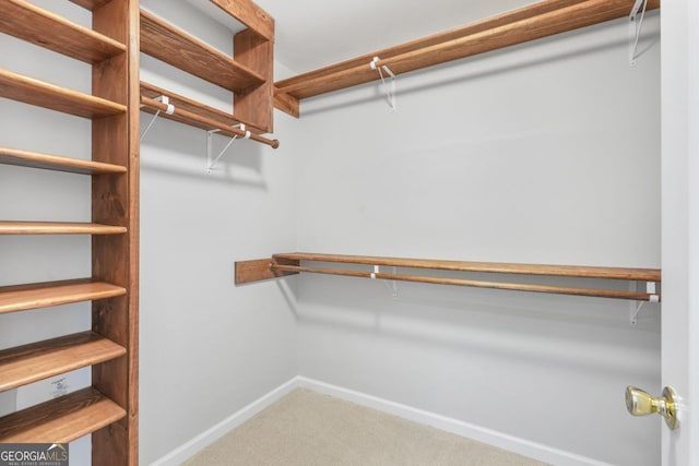 spacious closet featuring carpet