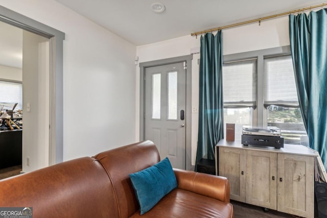 interior space featuring plenty of natural light and dark hardwood / wood-style floors