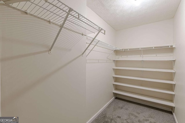 spacious closet with carpet flooring