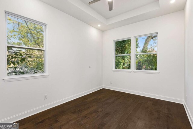 spare room featuring a tray ceiling, a wealth of natural light, and dark wood-type flooring