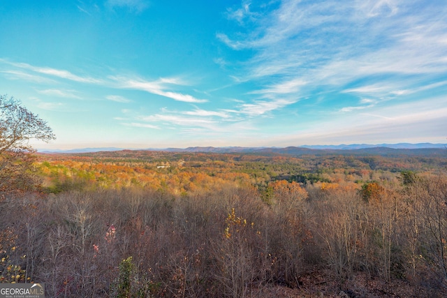 view of mountain feature