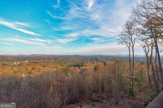 view of mountain feature