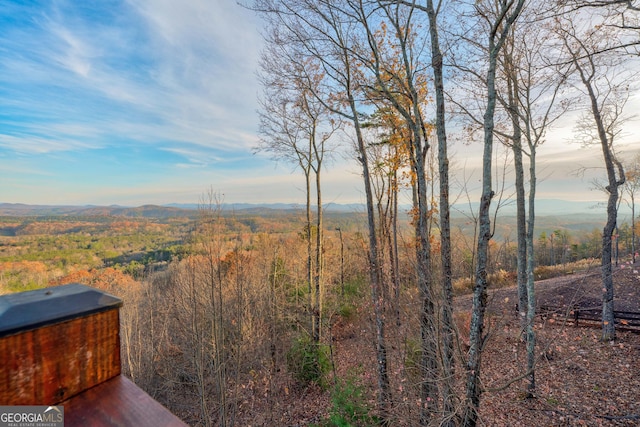 view of yard featuring a mountain view