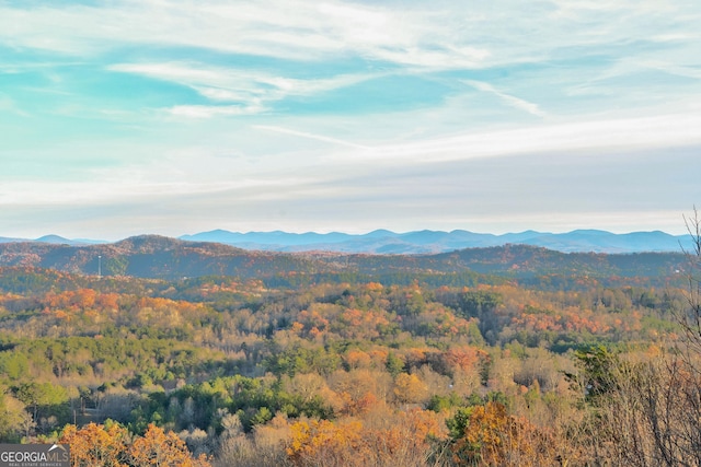 view of mountain feature