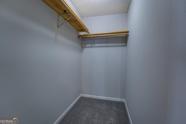 walk in closet featuring carpet floors