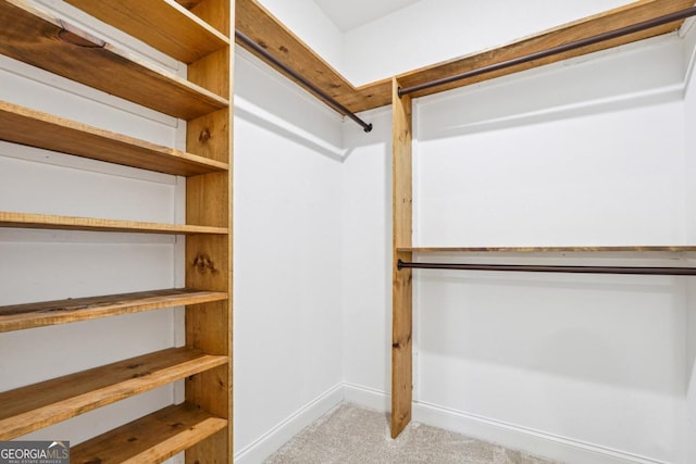 spacious closet with light colored carpet