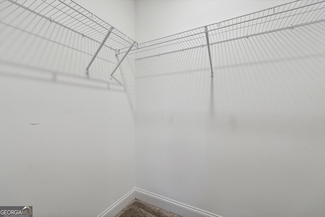 spacious closet with carpet floors