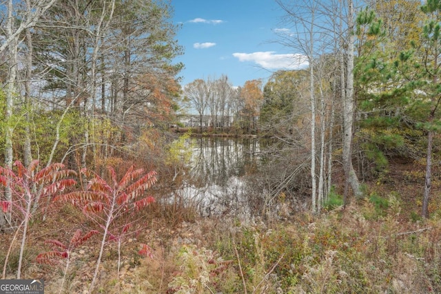 view of local wilderness featuring a water view