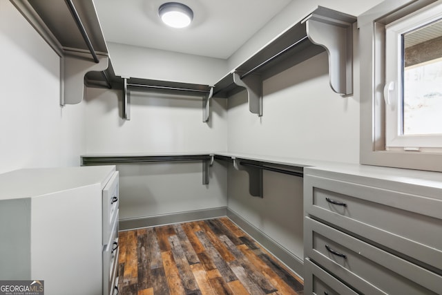 walk in closet with dark wood-type flooring