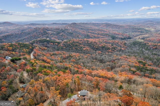 drone / aerial view with a mountain view