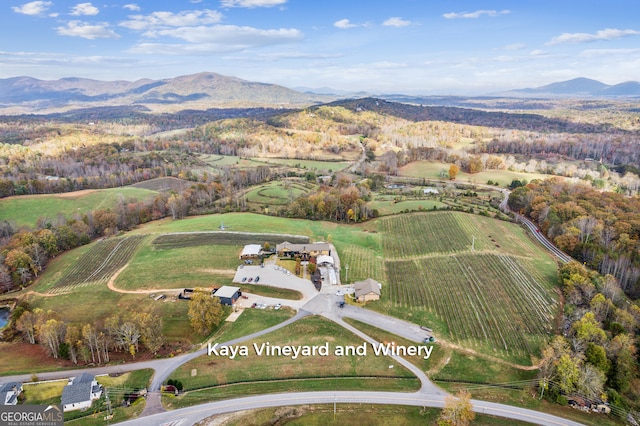 drone / aerial view with a mountain view