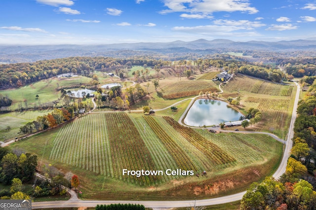 drone / aerial view with a rural view and a water and mountain view