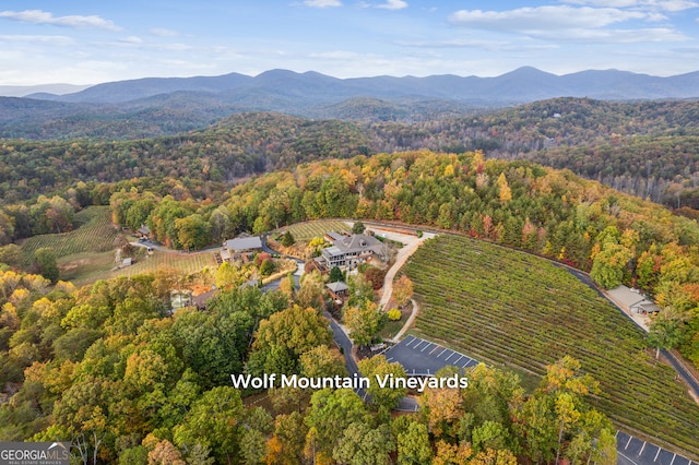 birds eye view of property with a mountain view