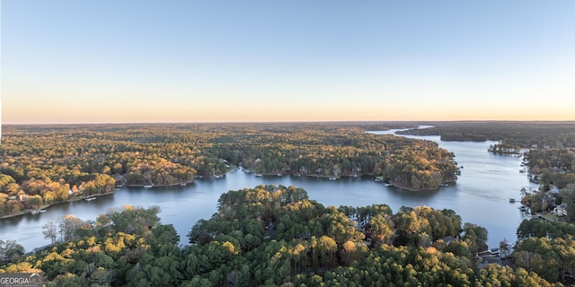 bird's eye view featuring a water view and a forest view