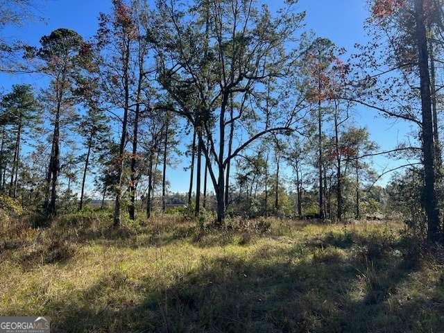 437 Salt Creek Way E, Brunswick GA, 31523 land for sale