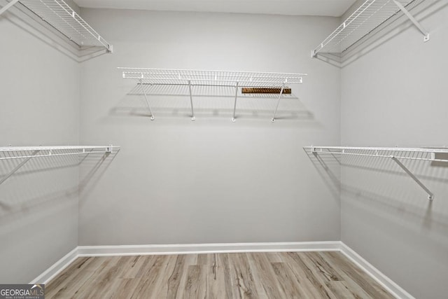 spacious closet with hardwood / wood-style floors