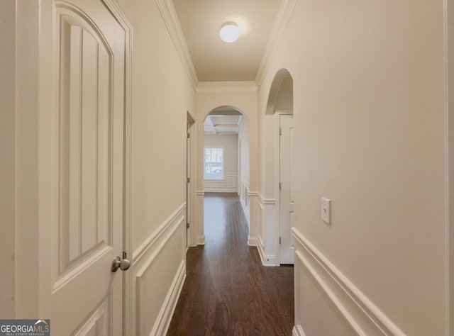 hallway featuring dark hardwood / wood-style floors and ornamental molding