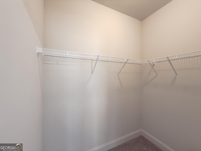 walk in closet with carpet flooring