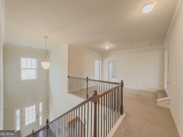 hall with carpet and ornamental molding