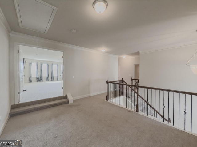 carpeted empty room with crown molding