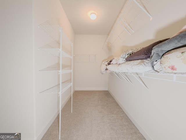 spacious closet featuring light colored carpet