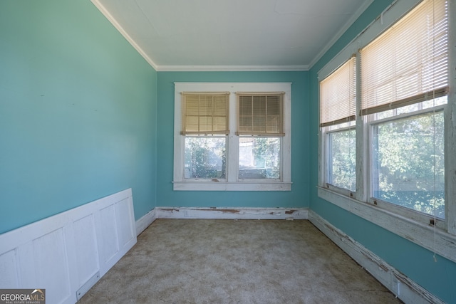 spare room featuring light colored carpet and ornamental molding