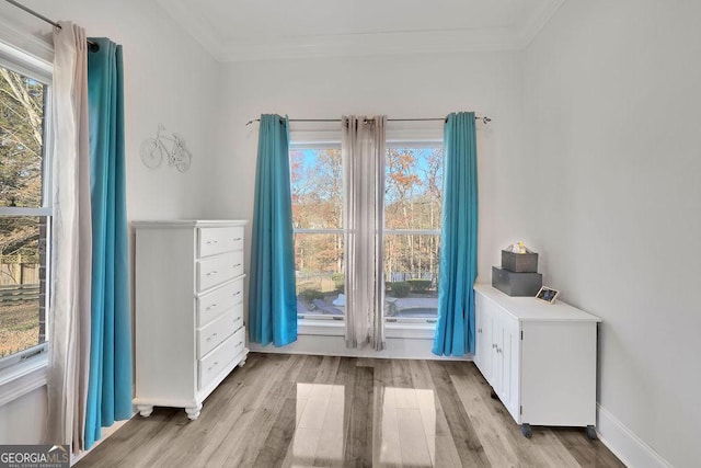 entryway with light hardwood / wood-style flooring, plenty of natural light, and crown molding