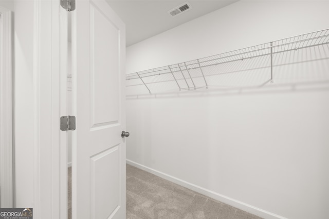 walk in closet with light colored carpet