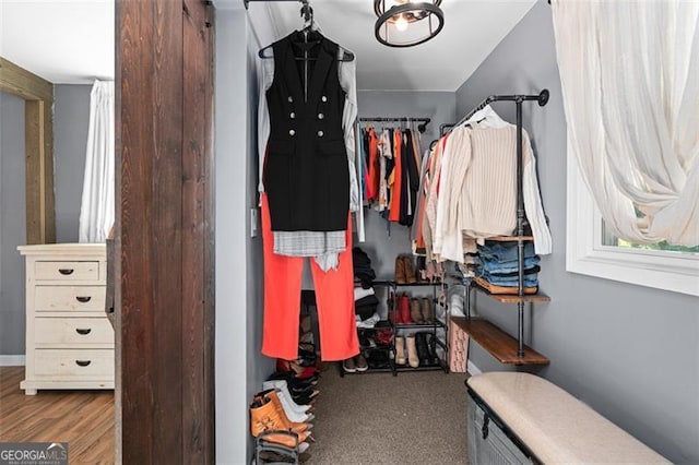 walk in closet featuring hardwood / wood-style flooring