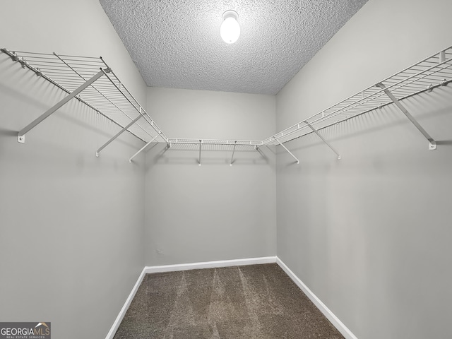 spacious closet with carpet flooring