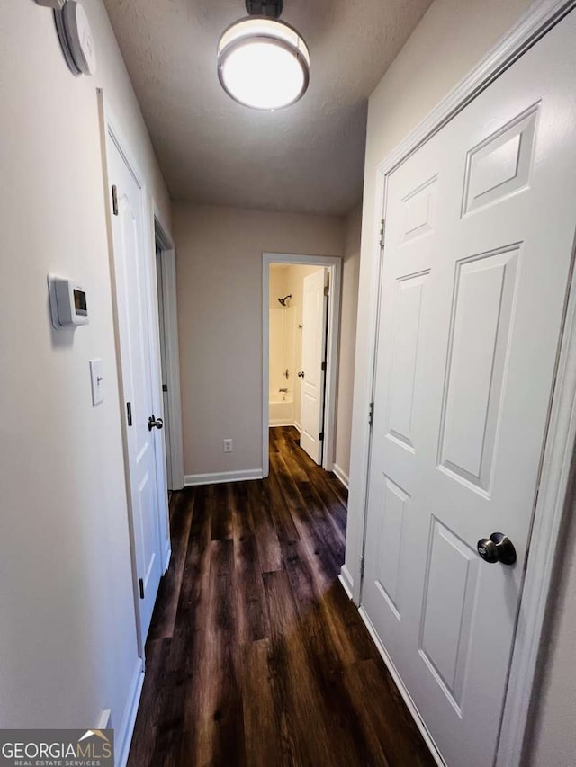 hallway featuring dark hardwood / wood-style flooring