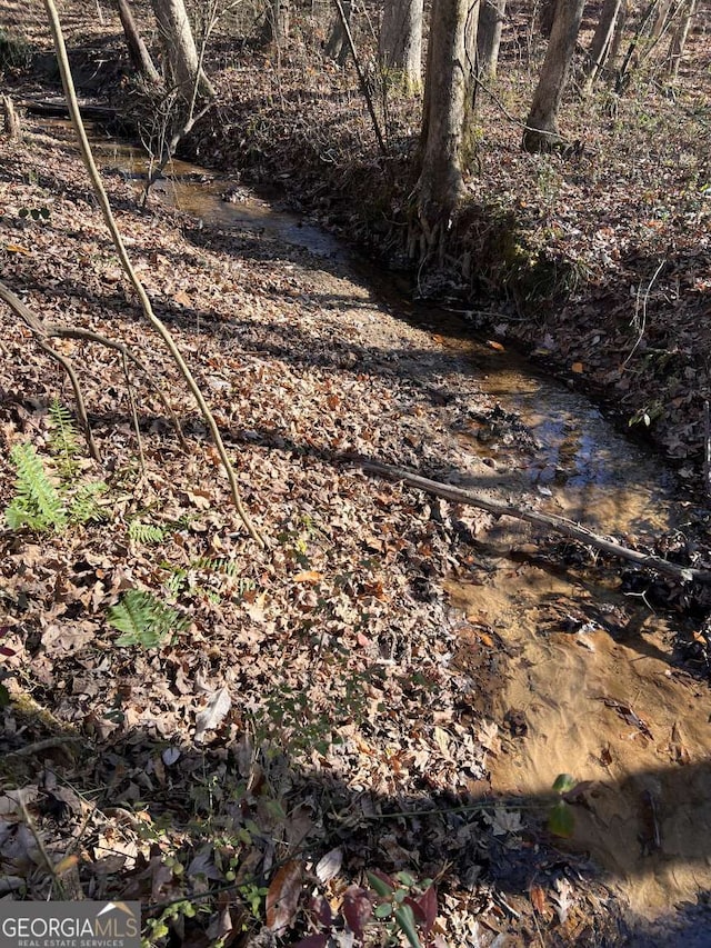 view of local wilderness