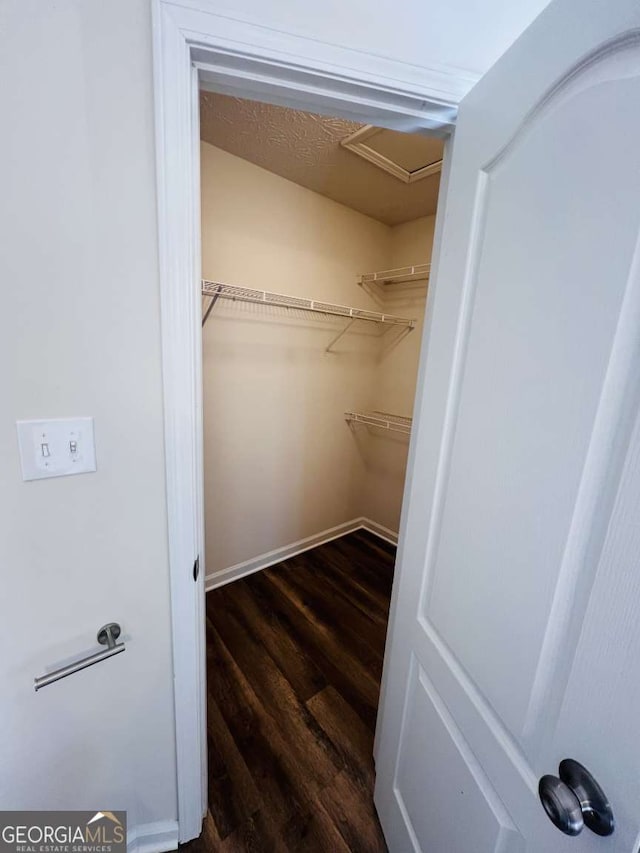 walk in closet with dark hardwood / wood-style flooring