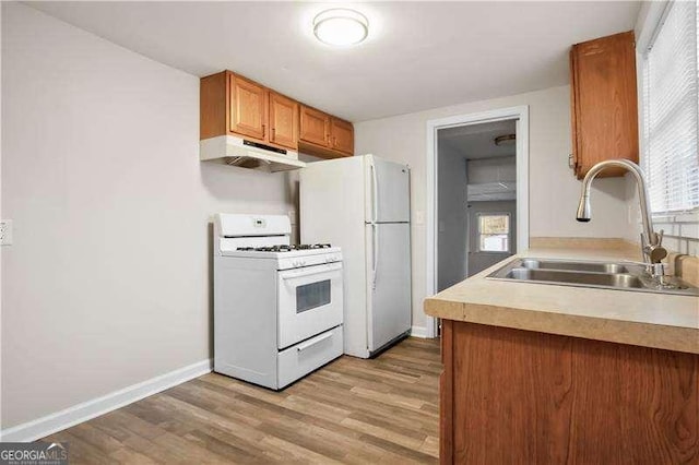 kitchen featuring sink, light hardwood / wood-style floors, and white appliances