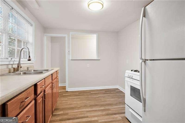 kitchen featuring sink, light hardwood / wood-style floors, and white appliances